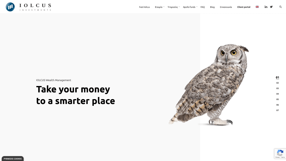 Iolcus website screenshot